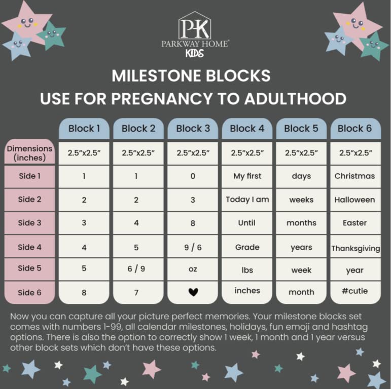 Pink Baby Monthly Milestone Blocks with Bag. Baby Age Blocks for Girl or Boy Baby Photo Props and Baby Shower. Month Baby Milestone Blocks with Grammatically Correct Month and Year