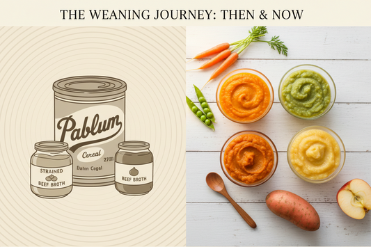 From Pablum to Purées: The History of Baby Food and Navigating the Weaning Journey