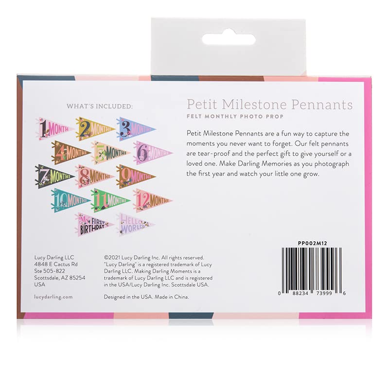 Lucy Darling Petit Milestone Pennants – Baby Monthly Milestone Pennant Flags – Newborn Photo Props & Felt Nursery Decor – Keepsake Banner Set for Baby Photos – Little Artist