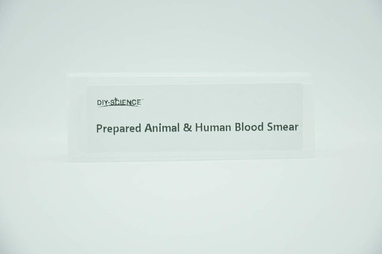 Prepared Human Animal Blood Smear Microscope Slides Set for Biology Science Education, Pack of 5pcs Different Kinds Specimens by DIY-SCIENCE