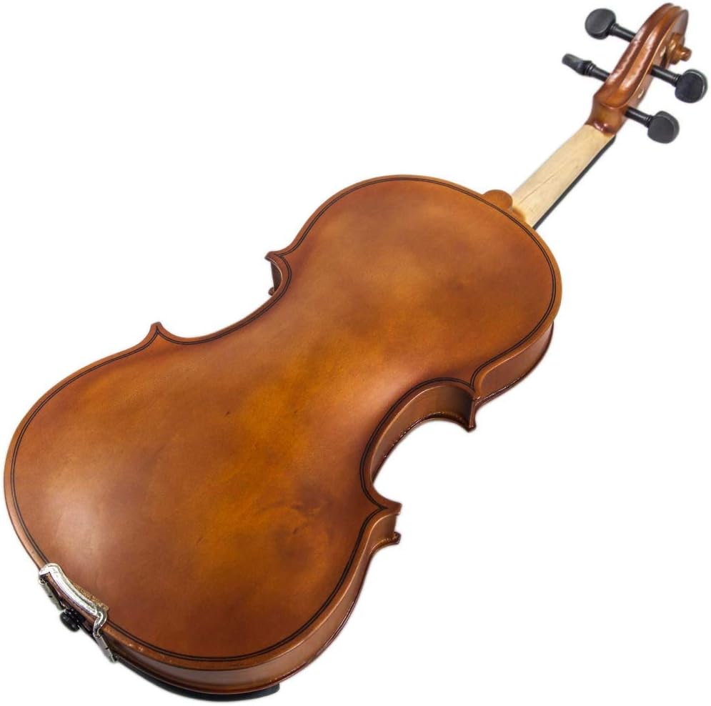 Paititi Artist-100 Student Violin Starter Kit with Brazilwood Bow Lightweight Case, Extra Strings, Rosin and Fingerchart (1/8)