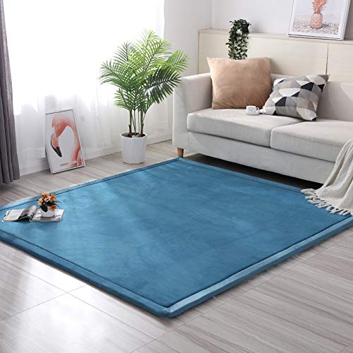 Loartee Nursery Rug Coral Velvet Crawling Rugs Mat Area Rugs Play Crawling Mat(4'9"x4'9", Blue) for Toddler Children Play Mat Yoga Mat Exercise Pads Carpet