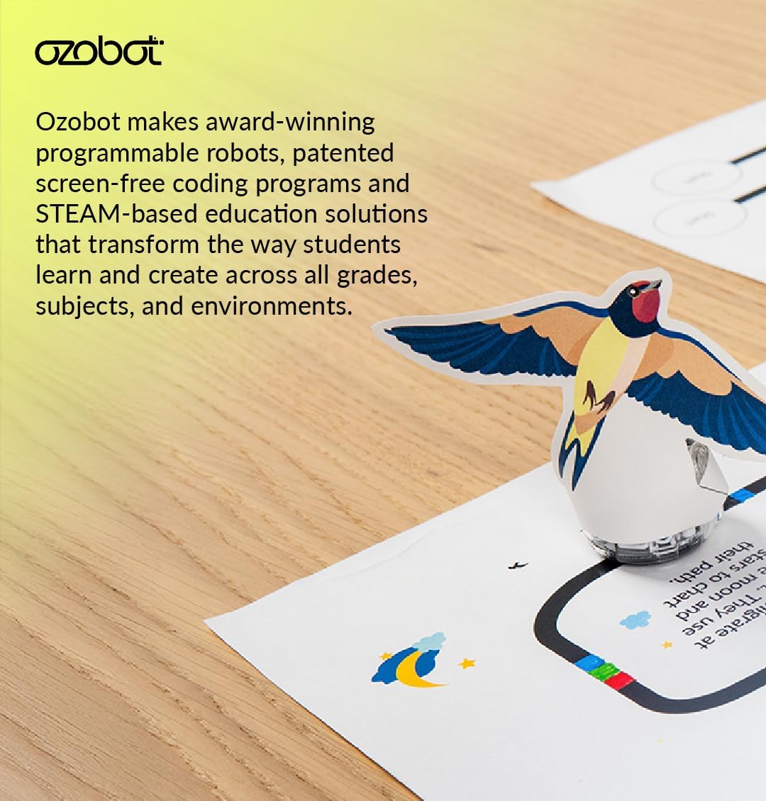 Color Coding Markers: Color Variety for Creative STEM Education, Ideal for Classroom & Home, Enhances Problem-Solving & Critical Thinking Skills, Suitable for Ages 6+, Dual-Sided, 5-Pack