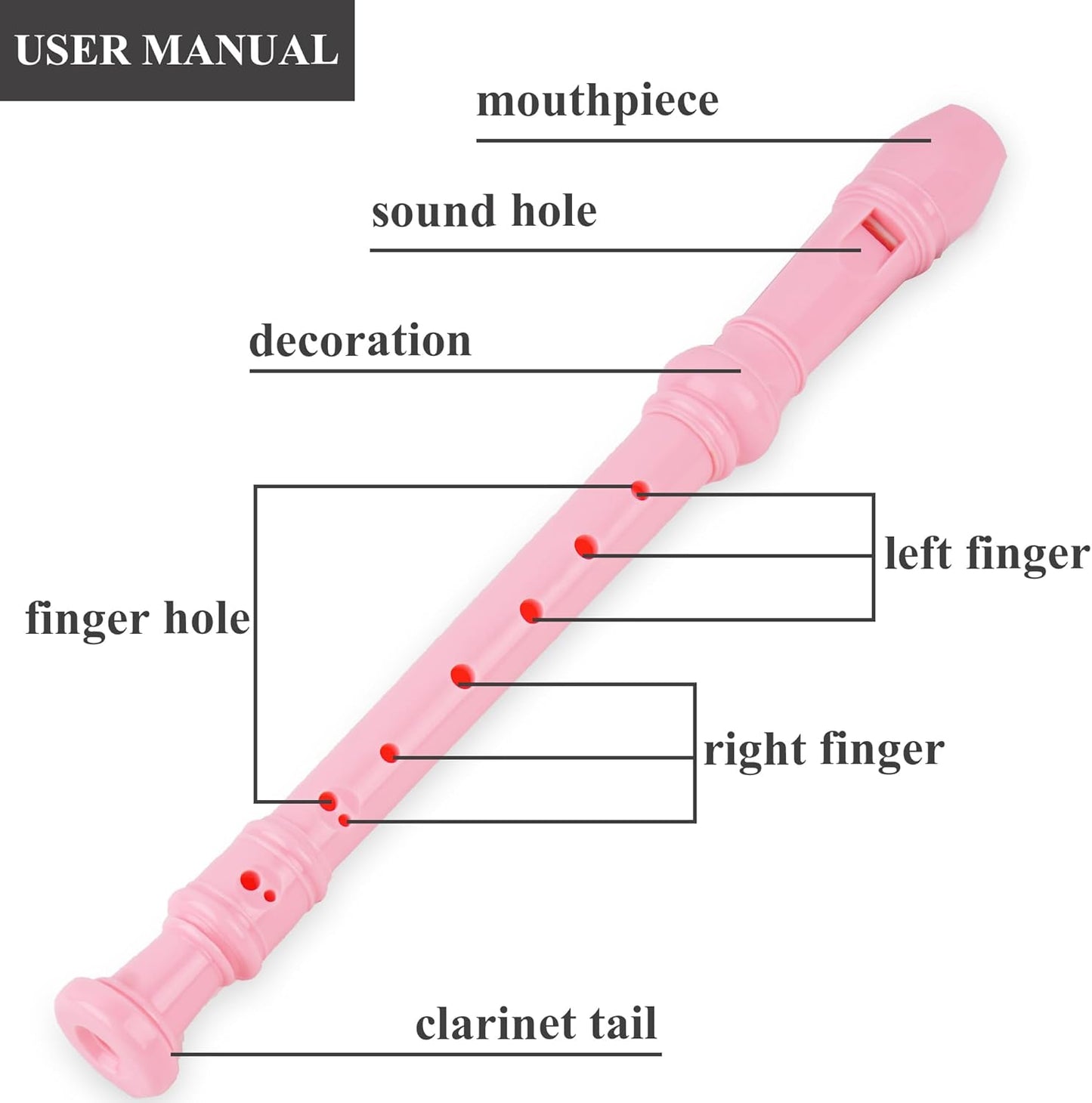 Recorder Instrument for Beginner Adults,8-Hole Soprano Descant Recorder Music Flute with Cleaning Rod & Case Bag For Home Entertainment(2-Pink Flamingo2)