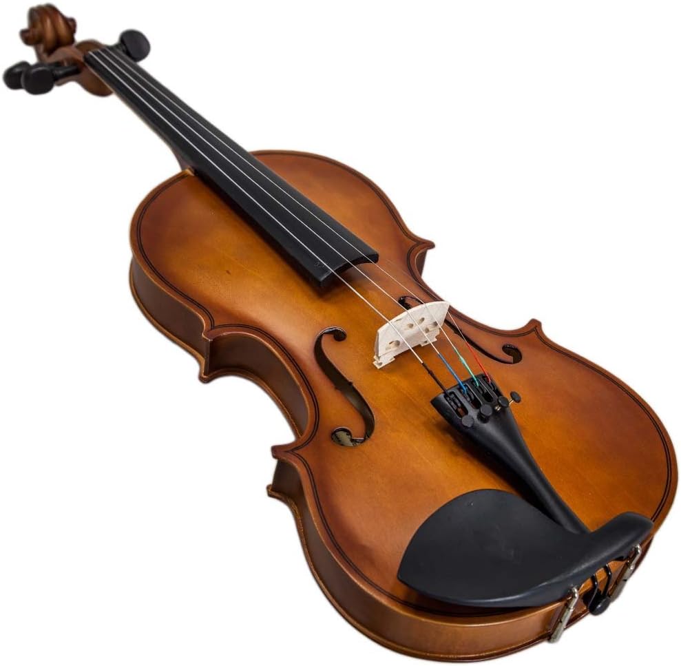 Paititi Artist-100 Student Violin Starter Kit with Brazilwood Bow Lightweight Case, Pitchpipe, Extra Strings and Rosin (1/16)