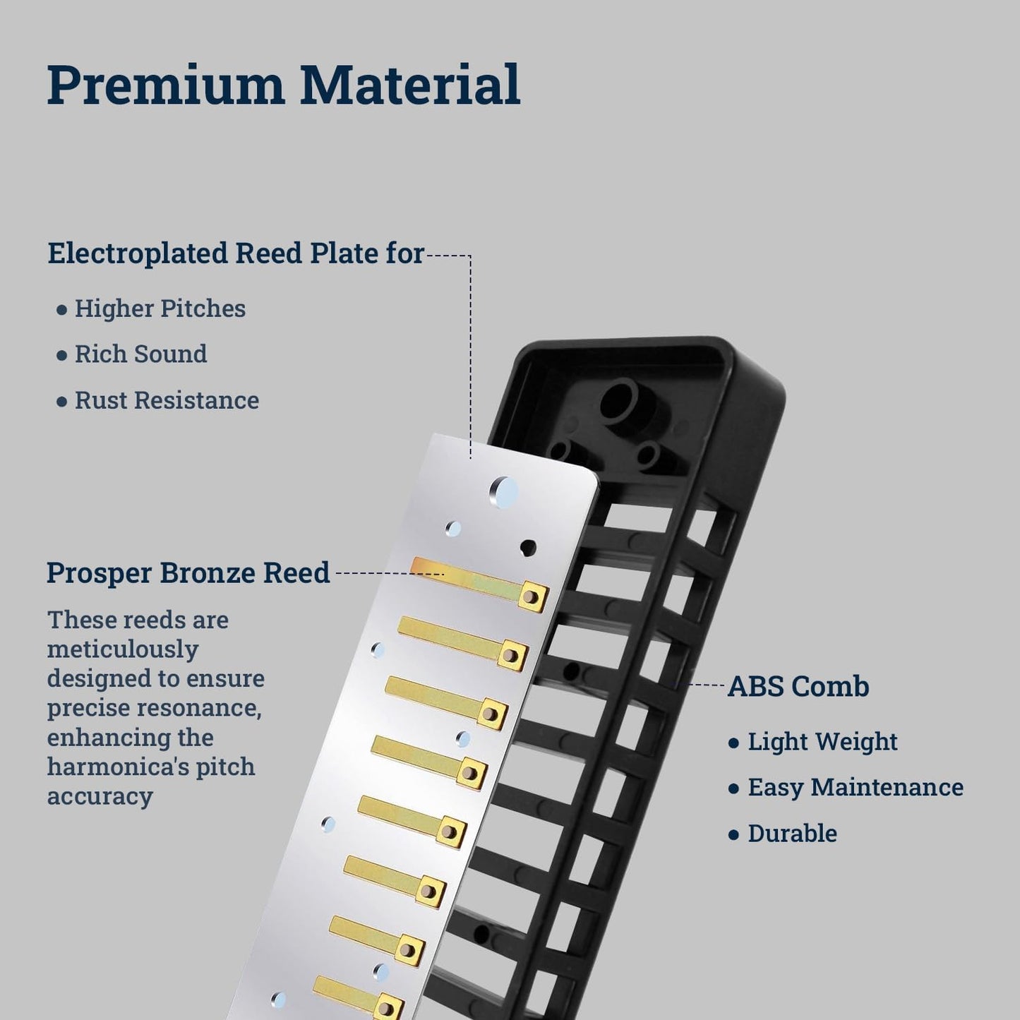 Harmo Polar Diatonic Harmonica Key of D - 10 Holes 20 Notes, Blues Harp Mouth Organ With Case, Phosphor Bronze Reeds, Suitable for All Genres, Harmonica for Kids, Adult, Beginners & Professionals