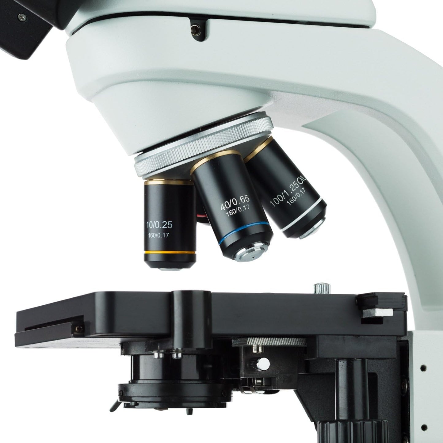 AmScope 40X-2000X LED Biological Trinocular Compound Microscope with 20MP USB3.0 Camera