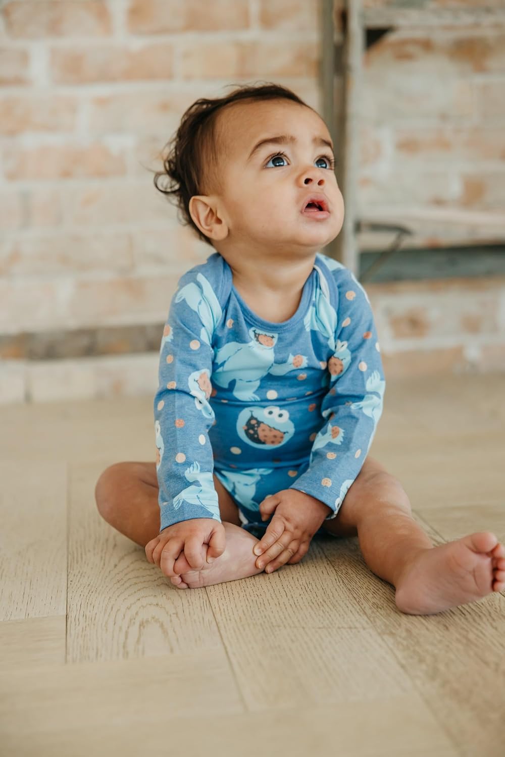 Copper Pearl Long Sleeve Bodysuit Baby: Ultra Soft Baby for Newborns, Boys, and Girls - Stylish, Comfortable, Overlap Shoulders, Premium Knit Fabric - 12-18 Months, Cookie Monster