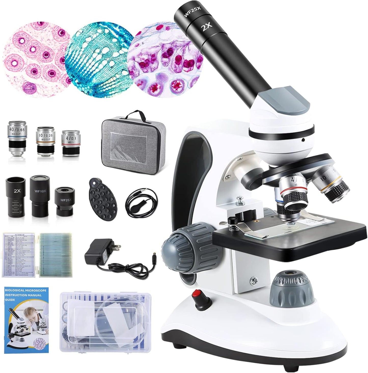 40X-2000X Microscopes for Kids Students Adults, with Microscope Prepared Slides 30p, Microscope Accessories, Phone Adapter, Microscopes for School Laboratory Home Education