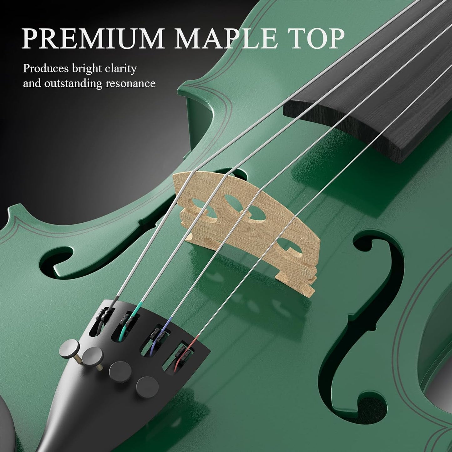 4/4 Beginner Violin Kit for Adults, Complete Full Size Violin Set with Portable Case, Bow, Rosin, Green