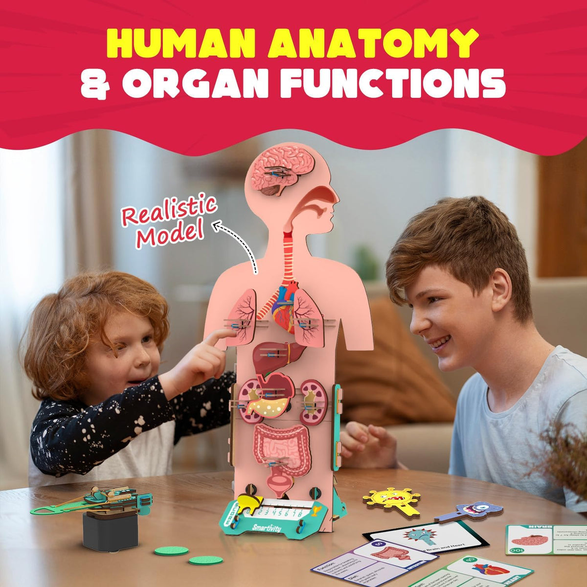 Smartivity Human Body Model for Kids 6-12 Years | Learn Body Organs, Functions with Fun Card Games | Cool Birthday Gift for Boys & Girls | DIY STEM Science Toys for Kids 6,7,8,9,10,11,12 Years I