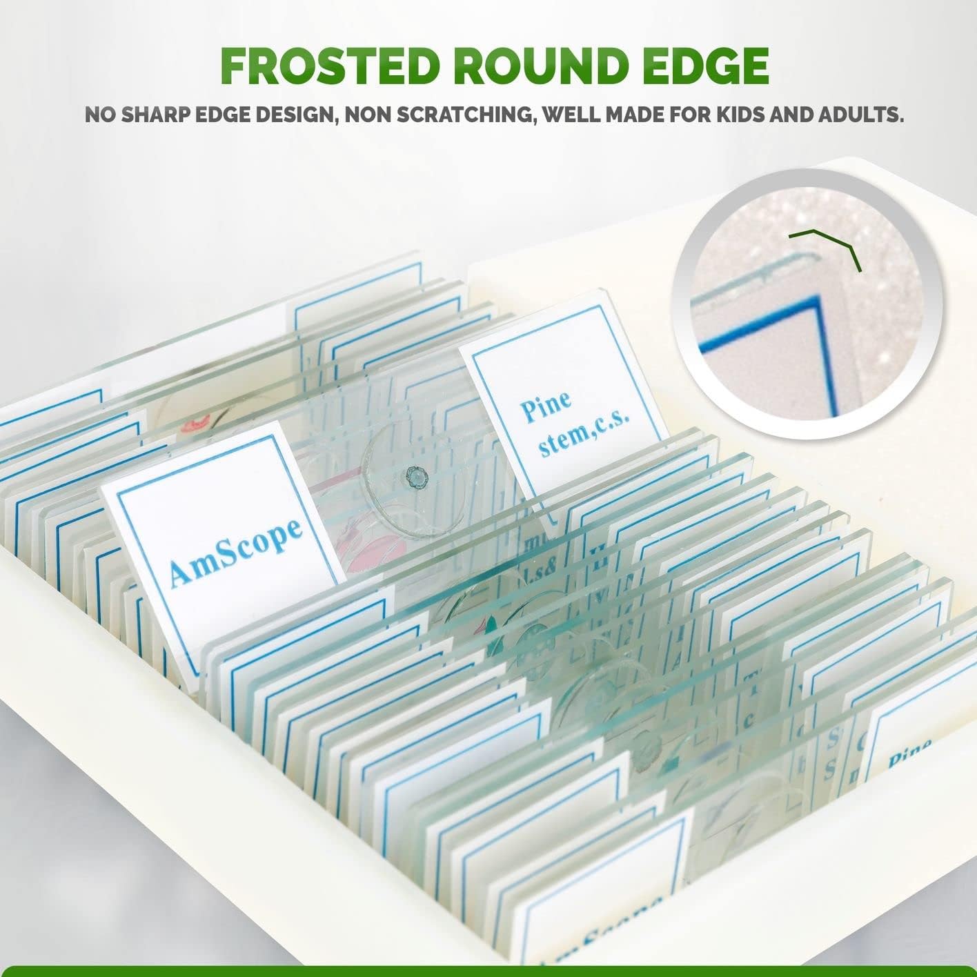 AmScope 25pc Prepared Glass Microscope Slides in Plastic Case with Plant, Fungus, Insect and Mammal Specimens