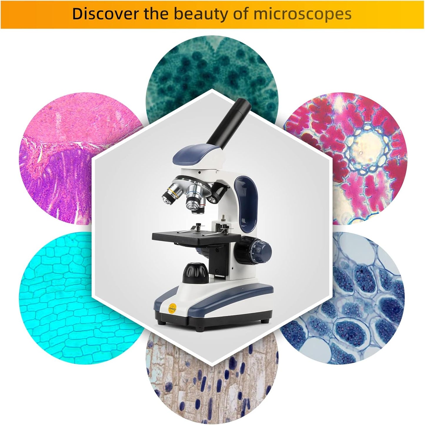 SWIFT Compound Monocular Microscope SW200DL with 40X-1000X Magnification, Dual Light, Precision Fine Focus, Wide-Field 25X Eyepiece and Cordless Capability for Student Beginner