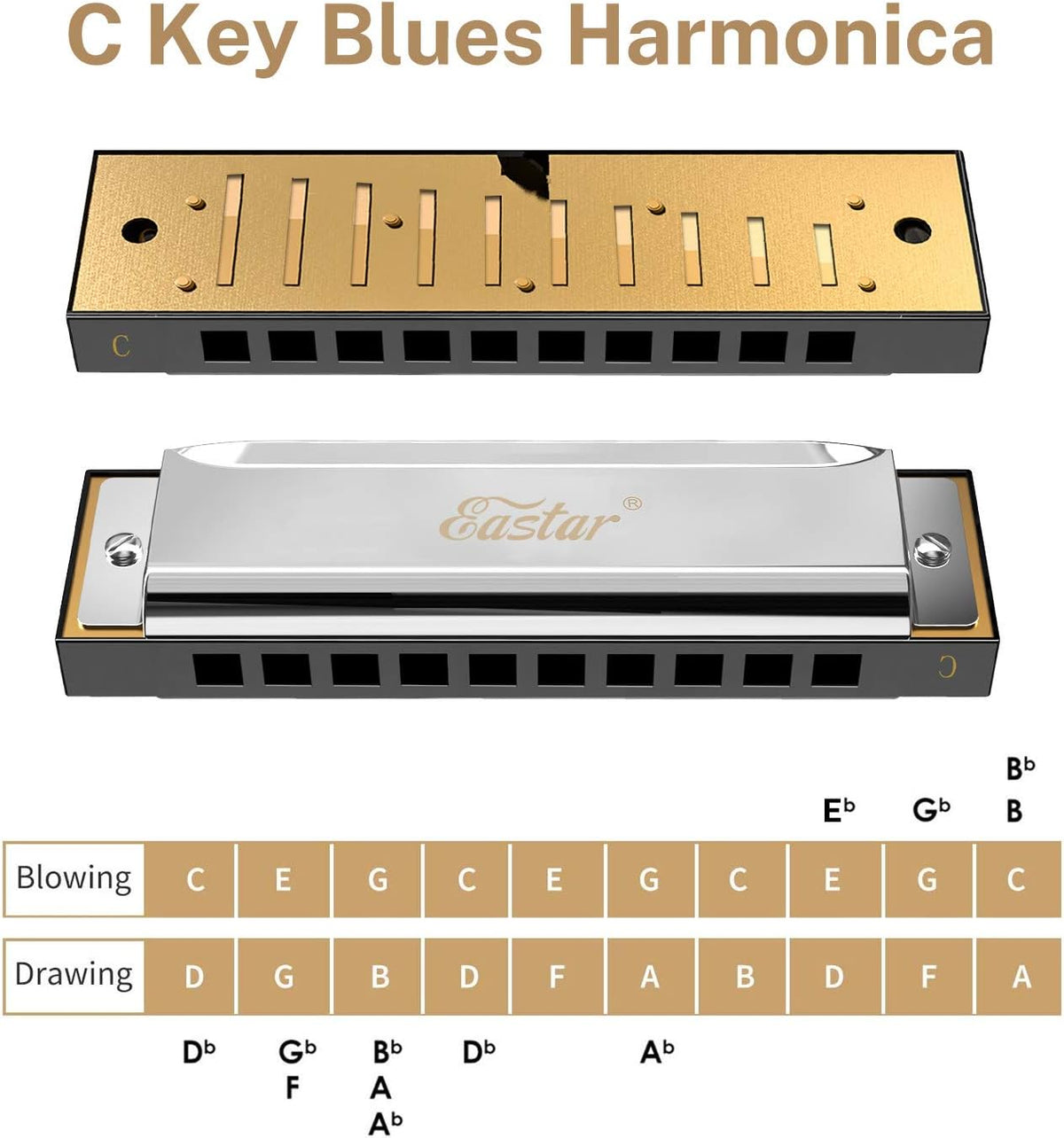Eastar Major Blues Harmonica Sets 7 Keys Diatonic in Key of C D E F G A Bb for Adults Beginners Students Kids 7-Pack, Carrying Case, Cleaning Cloth