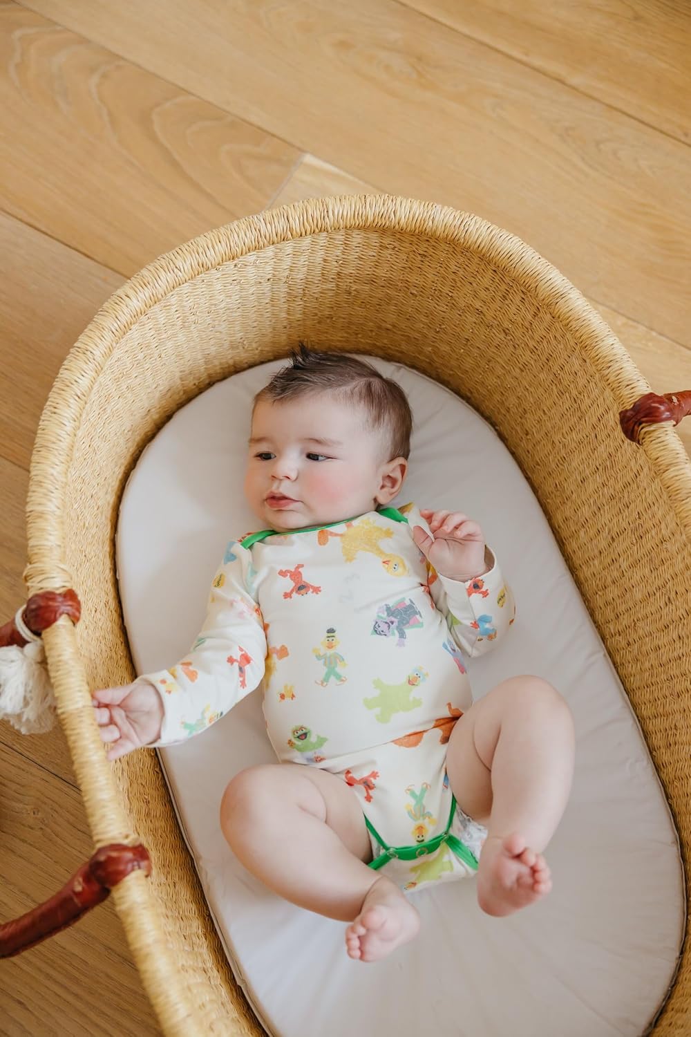 Copper Pearl Long Sleeve Bodysuit Baby: Ultra Soft Baby for Newborns, Boys, and Girls - Stylish, Comfortable, Overlap Shoulders, Premium Knit Fabric - 6-12 Months, Sesame Friends