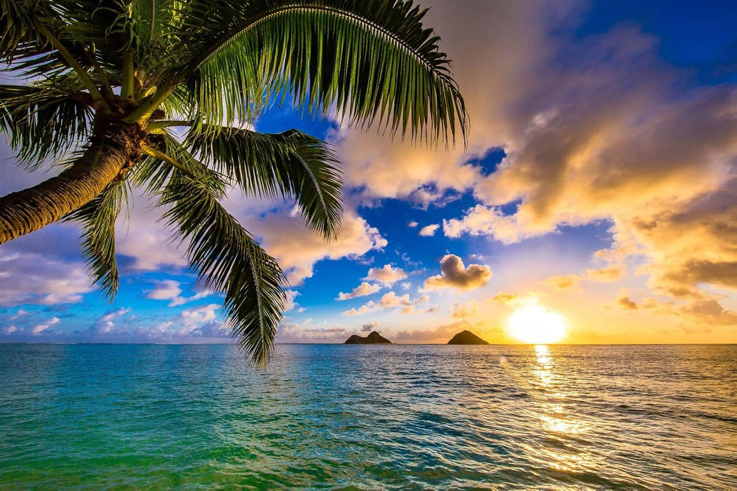 Sunset Seascape Wallpaper Palm Tree Beach Wall Mural for Living Room Bedroom Dining Room Basement(Not Self-Adhesive)