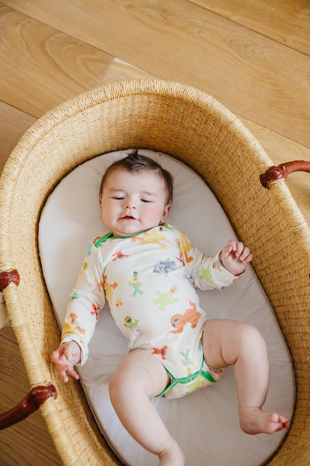 Copper Pearl Long Sleeve Bodysuit Baby: Ultra Soft Baby for Newborns, Boys, and Girls - Stylish, Comfortable, Overlap Shoulders, Premium Knit Fabric - 3-6 Months, Sesame Friends