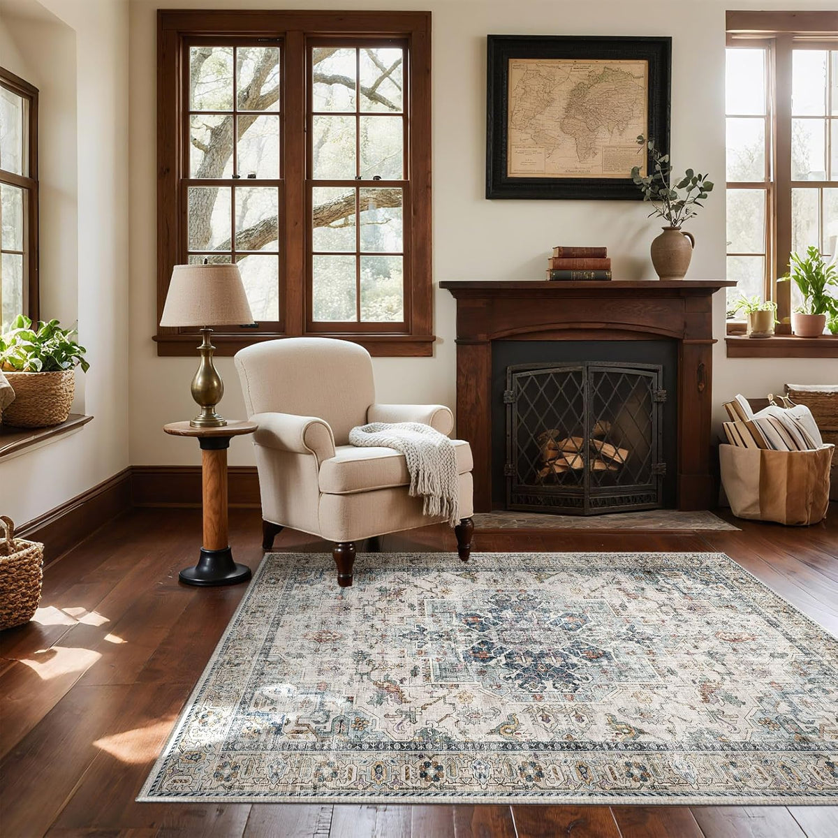 Machine Washable Throw Rugs for Entryway: Door Mat Indoor Entrance 4x6 Small Rug Stain Resistant Non-Slip Low Pile Soft Carpet for Kitchen Front Door Indoor Entry Bathroom Bedroom