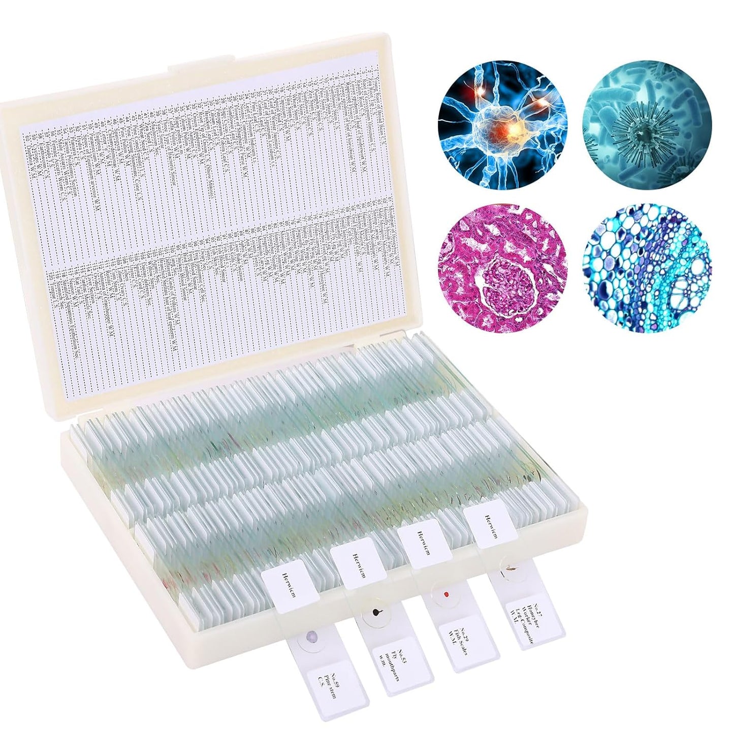 120 Microscope Slides with Specimens, Plant, Insect, Animal, Algae Slide Set for Biological Science Laboratory Basic Biological Science Education