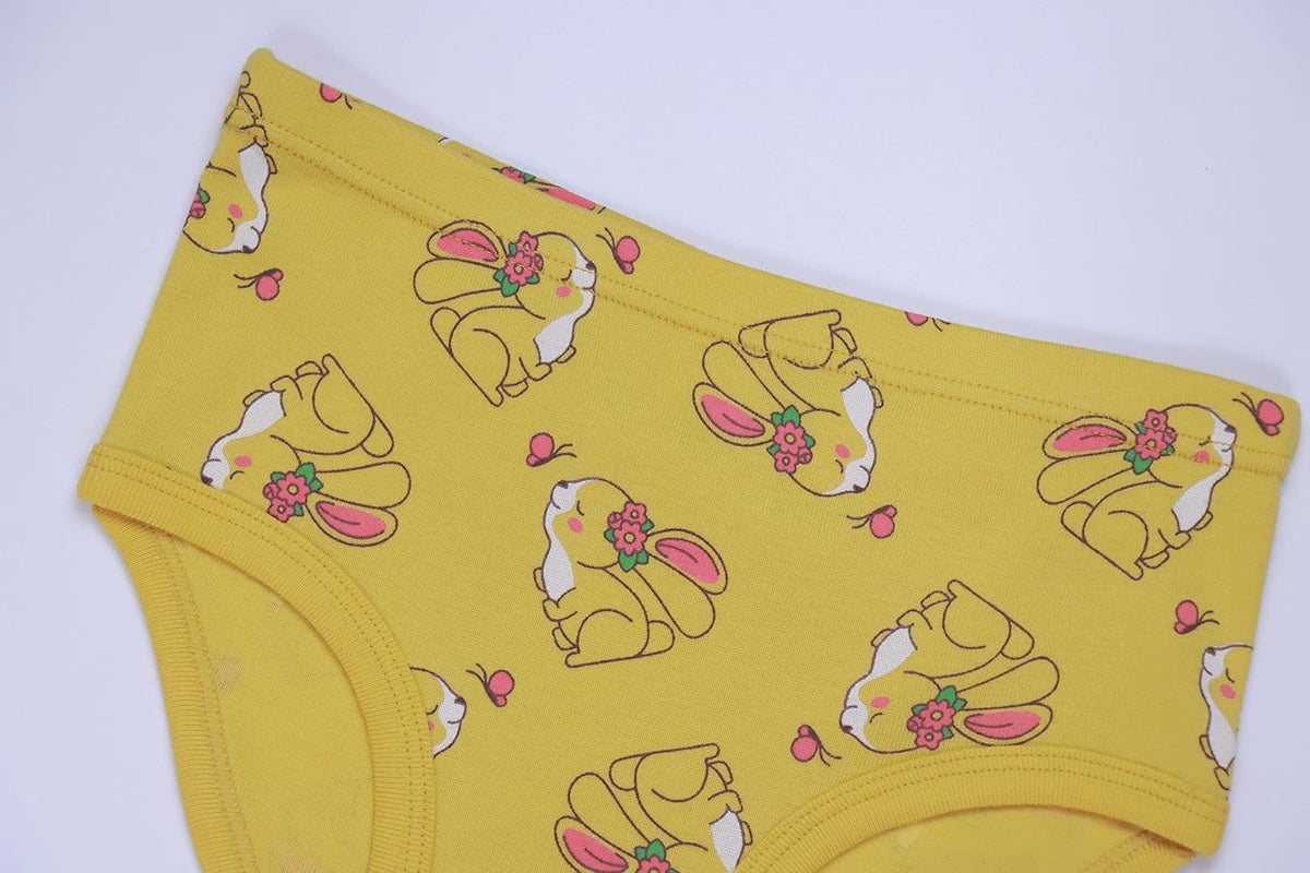 Hahan Girls Soft Panties Toddler Girls Cotton Underwear Kids Briefs