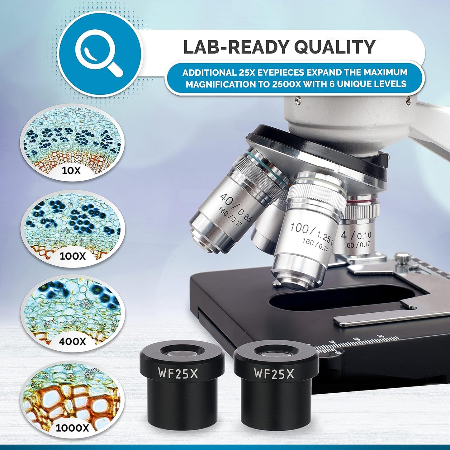AmScope B120C-WM-BS Siedentopf Binocular Compound Microscope, 40X-2500X Magnification, Brightfield, LED Illumination, Abbe Condenser, Double-Layer Mechanical Stage, Includes Book, 50 Blank Slides, and 100 Coverslips